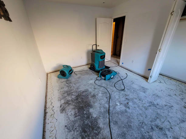Best Fire Damage Restoration  in Iraan, TX