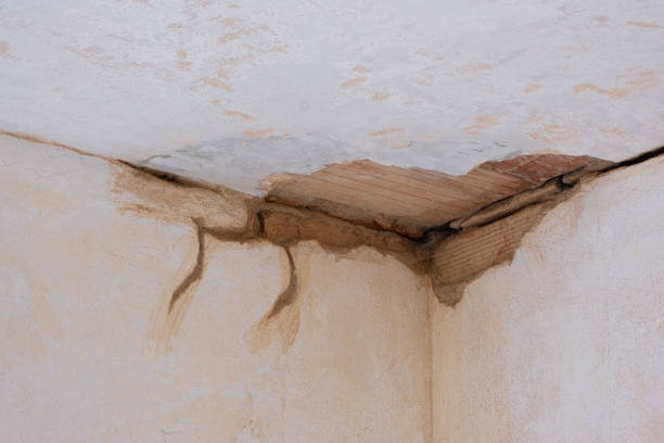 Best Water damage restoration near me  in Iraan, TX