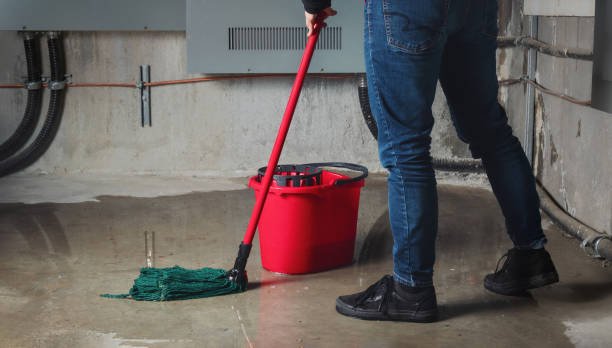 Best Flooded house restoration  in Iraan, TX