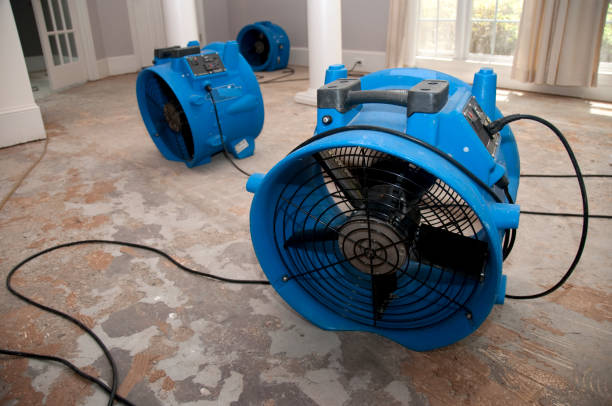 Best Water damage mitigation services  in Iraan, TX