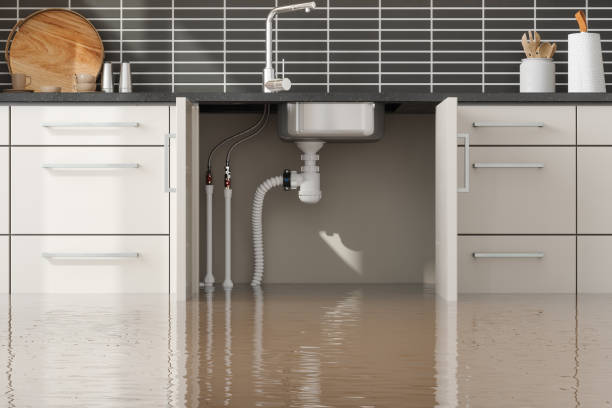  Iraan, TX Water damage restoration Pros