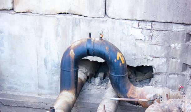 Best Mold removal after water damage  in Iraan, TX