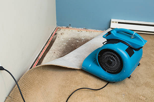 Best Fire Damage Restoration  in Iraan, TX